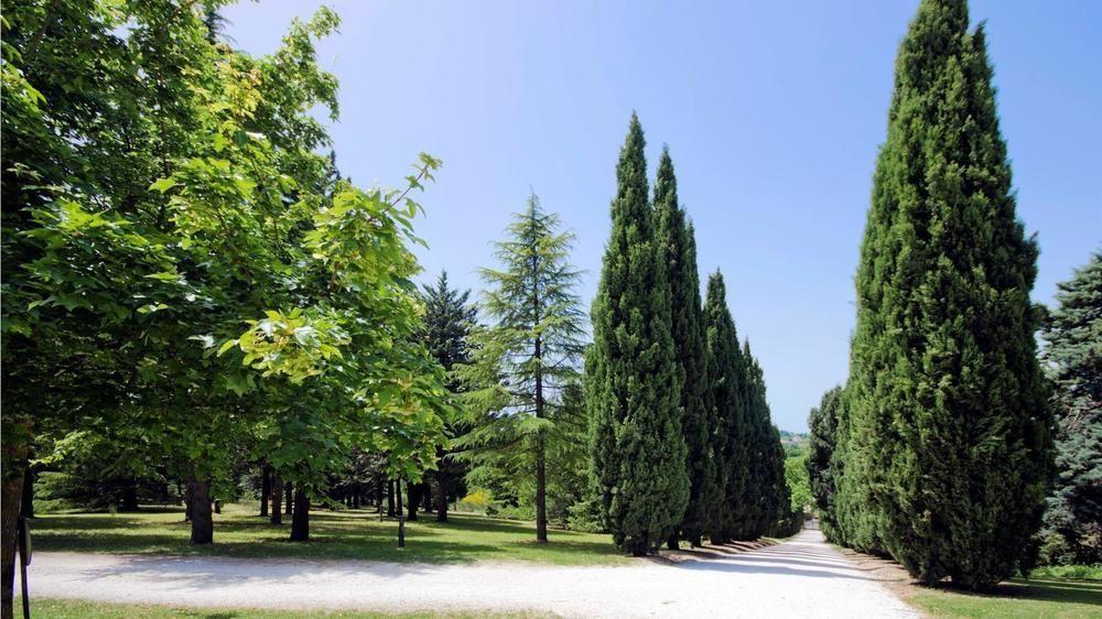 Convento Di San Francesco Mondaino Bed & Breakfast Exterior photo